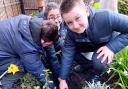 Pupils planting trees at Mary Magdalen's School  in Willesden