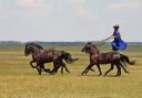 The gulyás show off their horsemanship. Photo © Nick Elvin