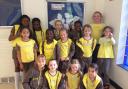 The 6th Mill Hill Brownies