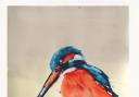 Maggie Jennings' Kingfisher from Hampstead Heath swimming ponds