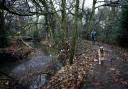 Dollis Valley Green Walk in Barnet is in line for a £400,000 makeover