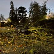 A car outside North London Hospice was crushed after the tree fell in Sunday's storms