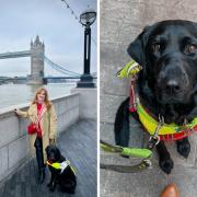 'I'm a guide dog owner living in London - and these are some of the most challenging things about it'