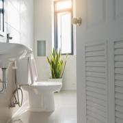 Your shower space - including the tray and curtain - are reportedly the dirtiest place in your bathroom, according to cleaning expert Sarah Dempsey at MyJobQuote.co.uk .