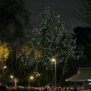 Hundreds of lights on the giant horse chestnut tree in the hospice grounds are sponsored in memory and celebration of someone special