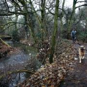 Dollis Valley Green Walk in Barnet is in line for a £400,000 makeover