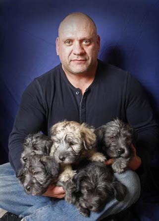 Rare breed: Glen of Imaal terrier puppies