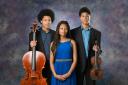 Kanne-Mason Piano Trio, who will perform as part of the festival