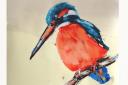 Maggie Jennings' Kingfisher from Hampstead Heath swimming ponds