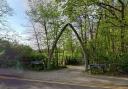 The arch at the entrance to Whalebones Park in Wood Street. Photo: Google