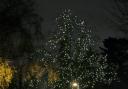 Hundreds of lights on the giant horse chestnut tree in the hospice grounds are sponsored in memory and celebration of someone special