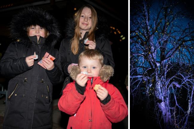North London Hospice held its annual Light up a Life remembrance event