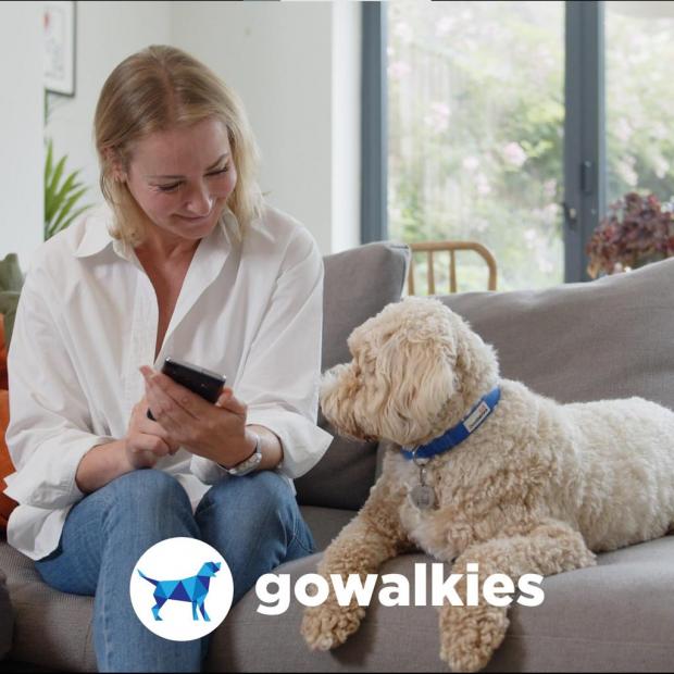 Times Series: GoWalkies is quick and easy to use from both the walkers and owners perspective. (GoWalkies)
