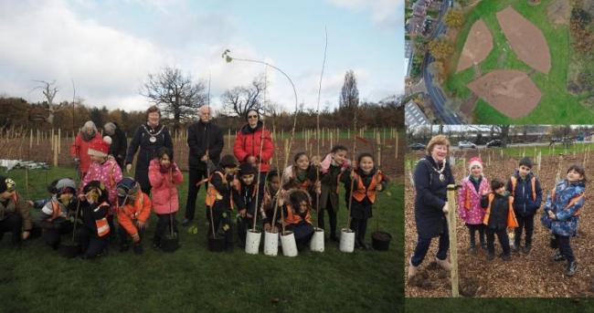 500 trees were planted in Mill Hill Park ahead of National Tree Week. Credit: Barnet Council