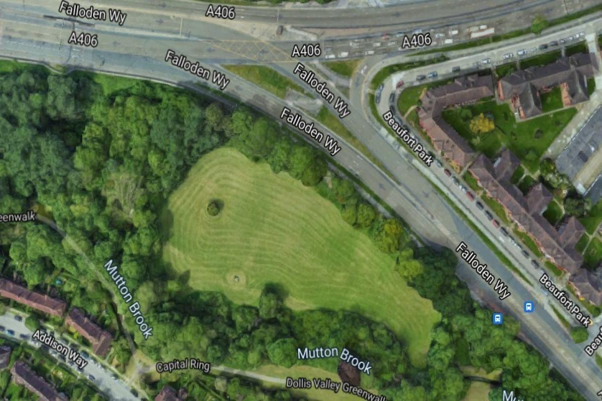 Tiny Forest site next to the North Circular at Henlys Corner (credit Google)