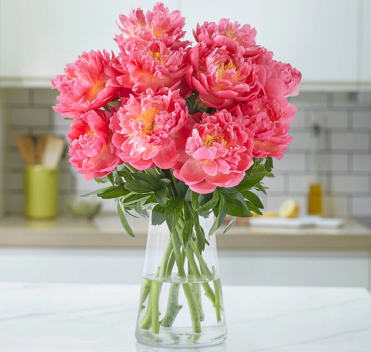 M&S colour-changing peonies on sale now – how to get yours