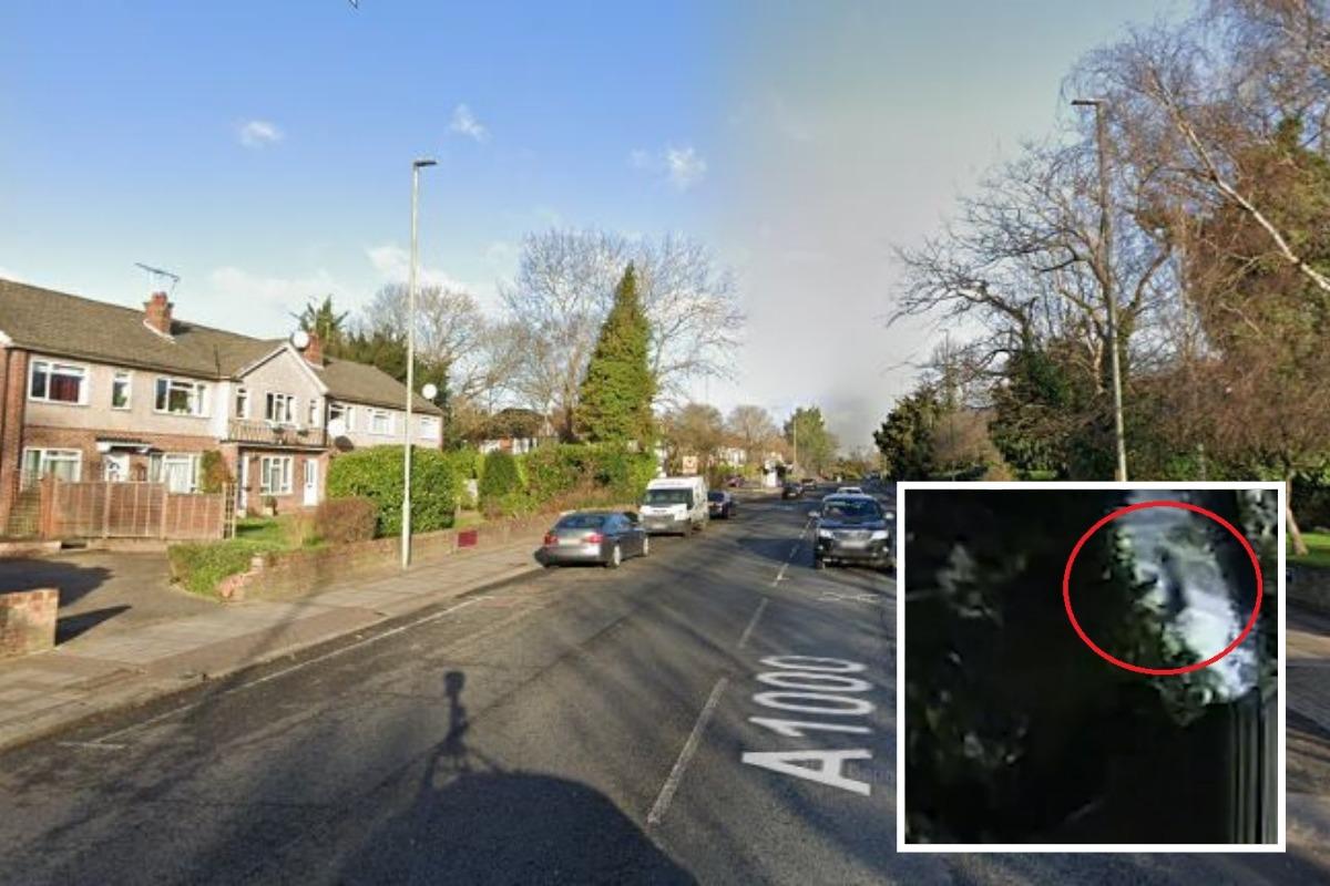 Police investigating a fatal stabbing in Whetstone have released CCTV. Credit: Google Street View/Met Police