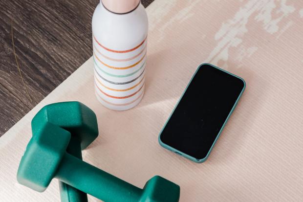 Times Series: Dumbbells, water bottle and a phone. Credit: Canva