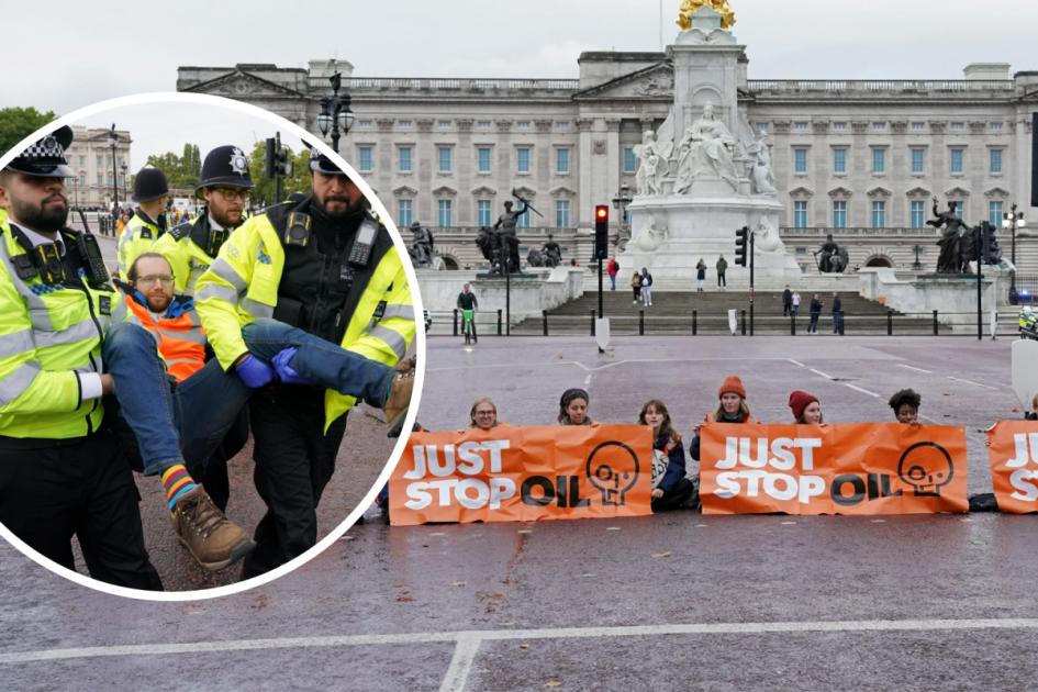 Les manifestants de Just Stop Oil bloquent le centre commercial devant le palais de Buckingham