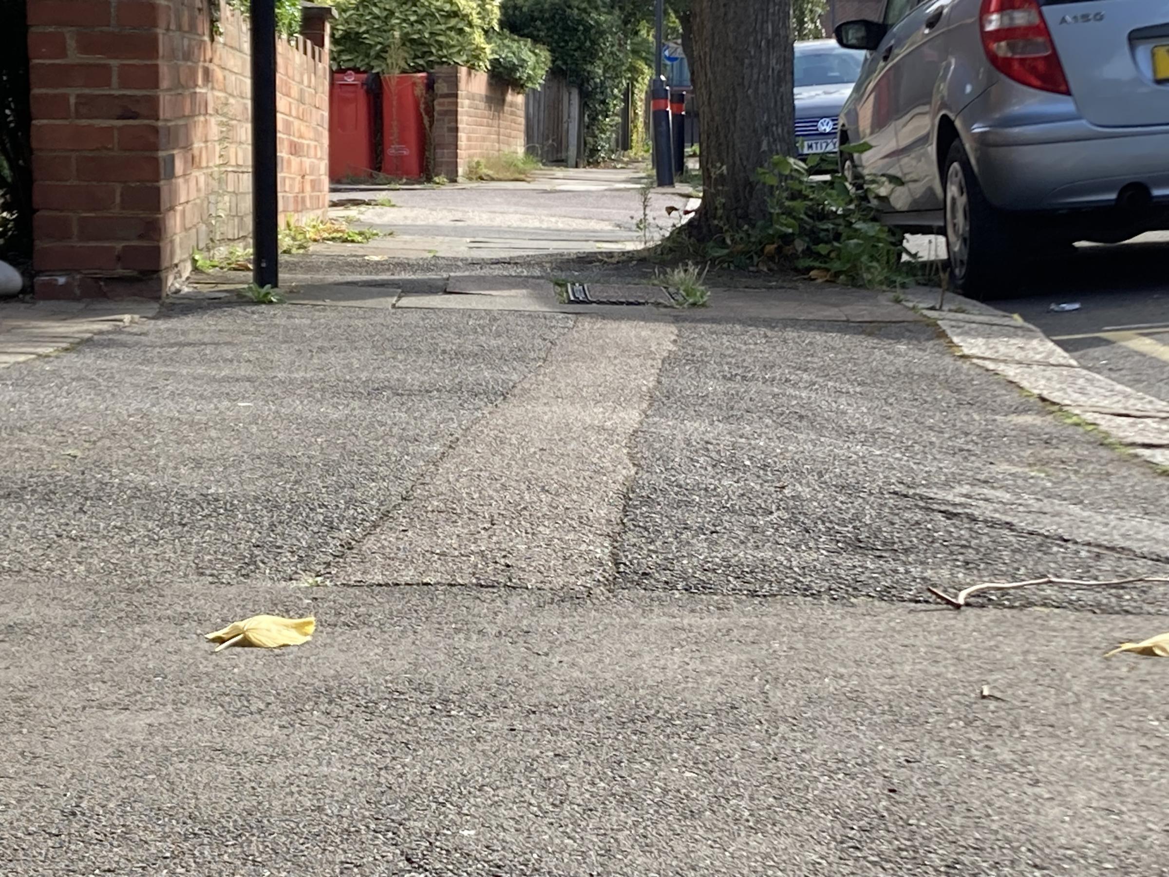 Narrow Pavement, Butler Road. Sally Oliphant said wheelchair users are having to use the road because the pavement is \not fit for purpose\. Image Credit: Grant Williams