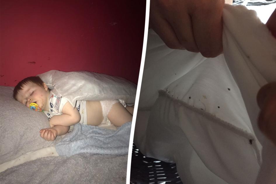 Les punaises de lit dans un appartement de Londres sont devenues si graves que la famille a refusé de sortir