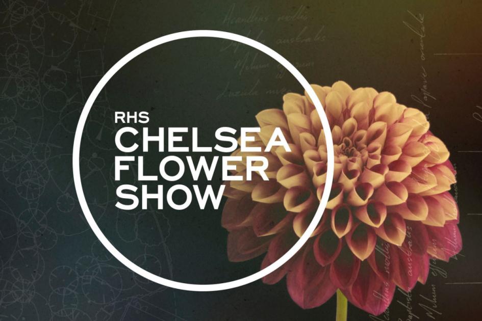 Comment regarder le RHS Chelsea Flower Show 2024 à la télévision