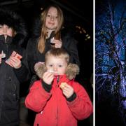 North London Hospice held its annual Light up a Life remembrance event
