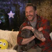 Tom Hardy, who will return to CBeebies Bedtime Stories over Christmas accompanied by his festive French Bulldog Blue. Credit: BBC/PA