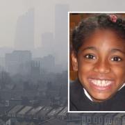 Ella Kissi-Debrah, pictured, died in 2013. Ella became the first person in the UK to have air pollution listed as a cause of death and Ella's Law is named after her.