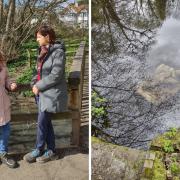 Chair of Friends of Windsor Open Space Ruth Geiger (inset left) briefs Sarah Sackman on sewage in the Dollis Hill brook. (Right) Pollution in Dollis Brook