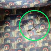 A swastika found on a Northern line seat