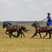 The gulyás show off their horsemanship. Photo © Nick Elvin